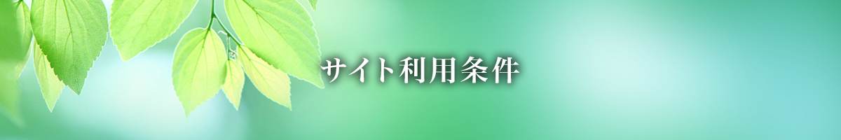 サイト利用条件